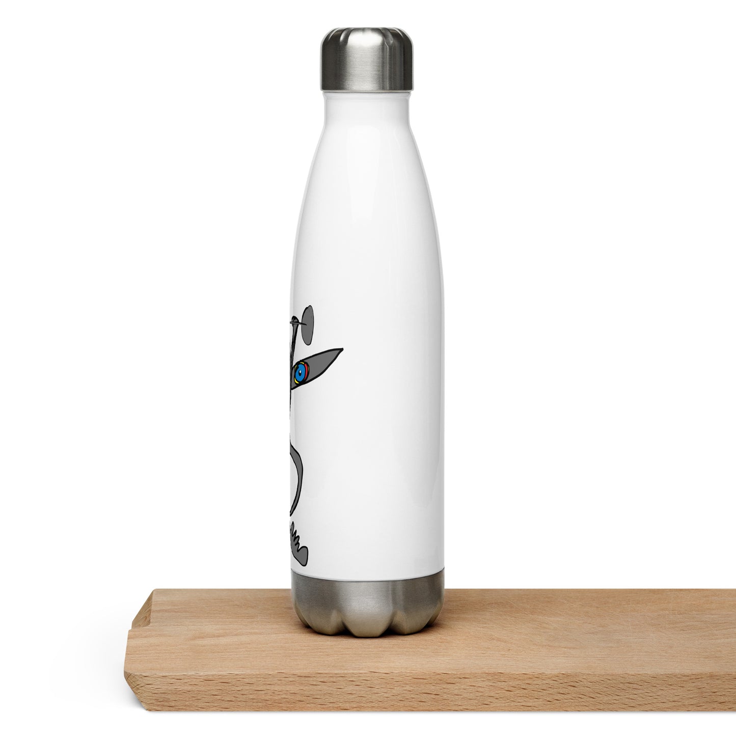 Stainless Steel Water Bottle