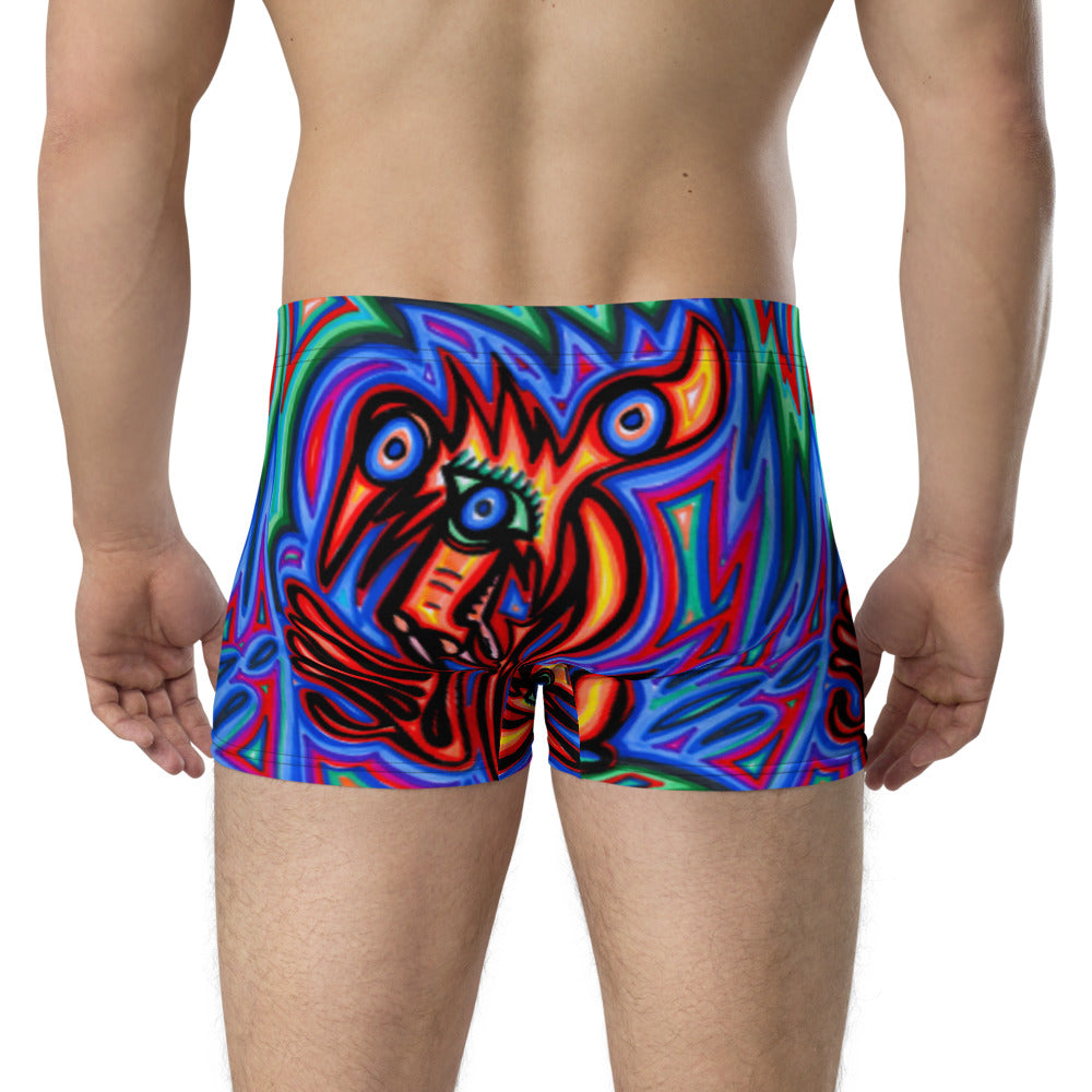 Boxer Briefs